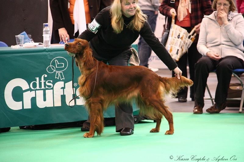 Crufts2011 338.jpg